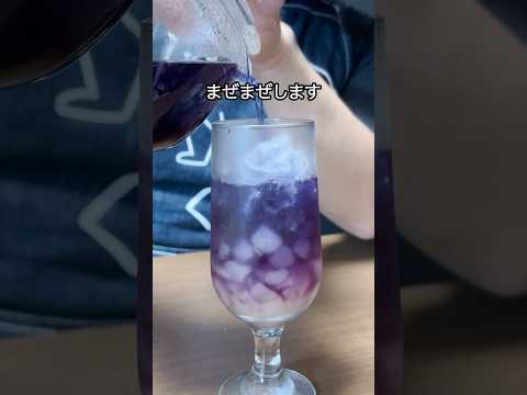 [ 自由研究にも ]我が家の閣下(妻)のご要望でバタフライピーのノンアルコールカクテルをお作りしようとした動画