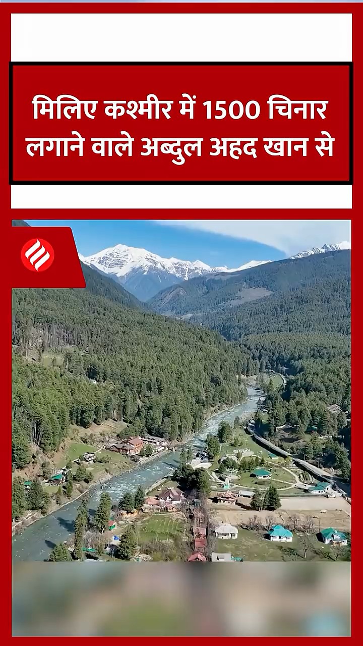 मिलिए कश्मीर में 1500 चिनार लगाने वाले अब्दुल अहद खान से. #chinar #climatechange #kashmir #dw