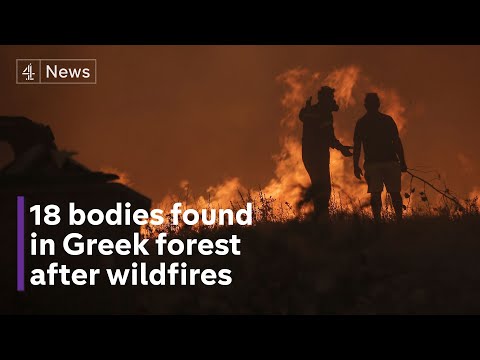 18 bodies found in Greek forest hit by wildfires