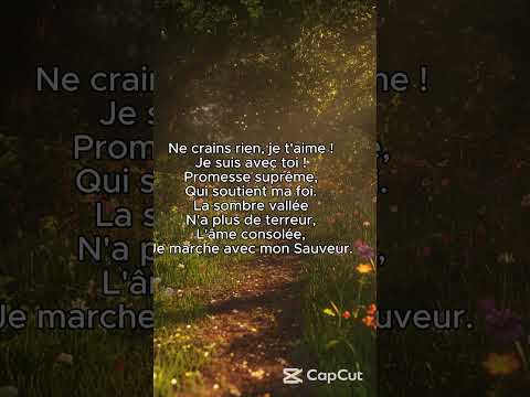 Ne crains rien je t'aime (Cover) | Partie 1 #relaxingmusic #music #sunset #love