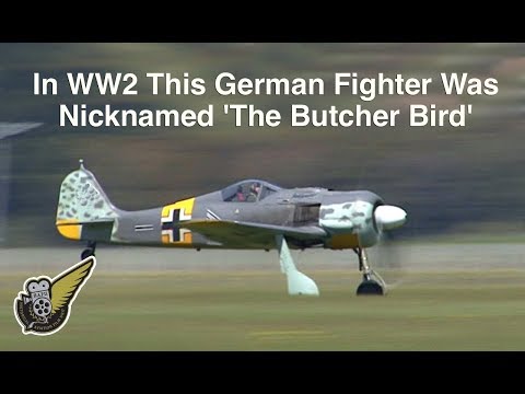Focke Wulf FW-190A/N - Luftwaffe Fighter - UC6odimYAtqsr0_7m8p2Dhiw