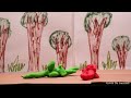 Object Stop Motion