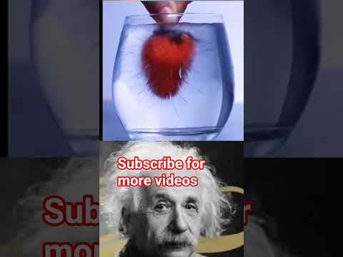 Physics Experiment =5 #alberteinstein #memes  #knowledge #science #experiment #scienceexperiment