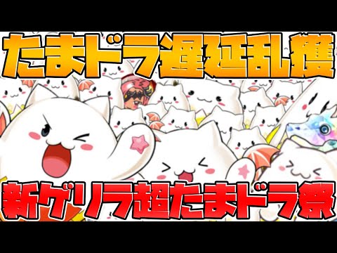 【新ゲリラ】超たまドラ祭は周回すべき？たまドラ難民救済キタ！【パズドラ】