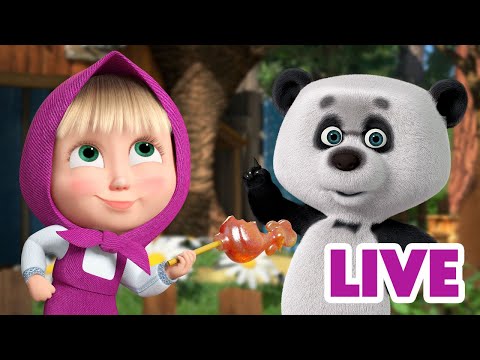 ماشا والدب ?‍♀️ LIVE STREAM! ?‍♀️? لم أكن أنا! ?‍♀️? Masha and the Bear