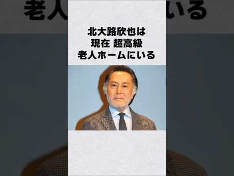 北大路欣也の現在の住まい：高級老人ホームの特徴と芸能界の裏側 サムネイル