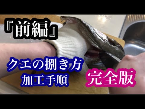 魚猫助チャンネルの最新動画 Youtubeランキング 魚猫助チャンネルの最新動画 Youtubeランキング
