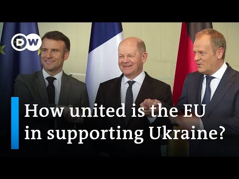 EU leaders divided over scale of Ukraine support | DW News