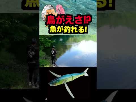 羽の生えた鳥みたいなルアーでブラックバス釣れるんですよ!#ルアー #バス釣り #fishing #釣り #アウトドア