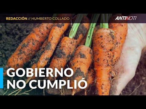 ¿Por Qué La Protesta De Las Zanahorias? | Antinoti Entrevista A Humberto Collado