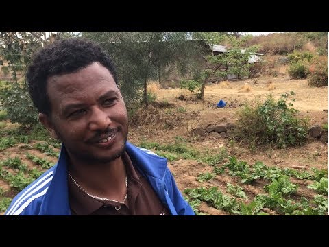 Climate-Smart Agriculture at an Ethiopian Farmers Training Center