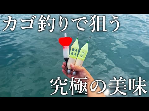 【旬の魚を求めて】季節限定で極上の味になる「ある魚」をカゴ釣りで狙います！