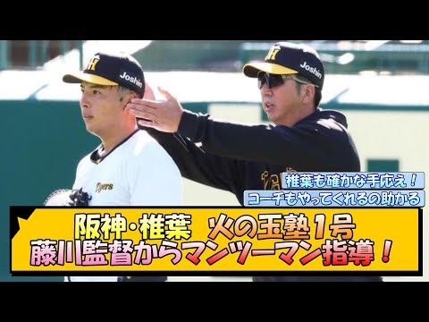 阪神・椎葉 火の玉塾１号！藤川監督からマンツーマン指導！【なんJ/2ch/5ch/ネット 反応 まとめ/阪神タイガース/岡田監督】