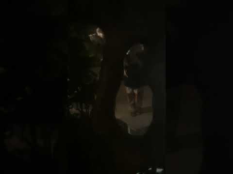 #บ้านสิงห์ธรรม #พะเยา #เชียงคำ #ถ้ำสิงห์