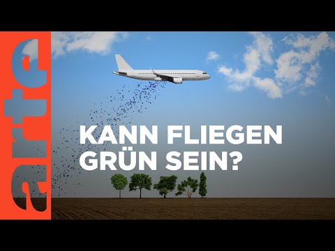 Öko-Flüge, nur ein Luftschloss? | Citizen Facts | ARTE