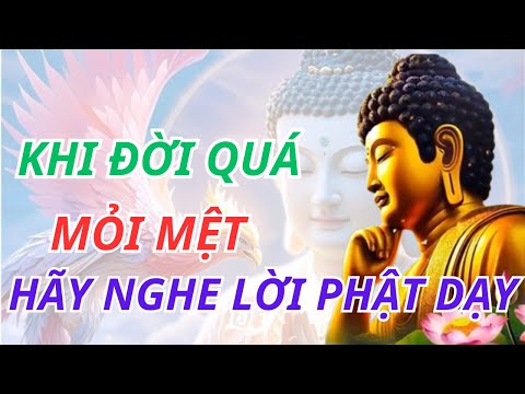 Lời Phật Dạy: Buông Bỏ Phiền Não Để Tâm An Nhiên, Sống Bình An | CUỘC SỐNG SUY NGẪM
