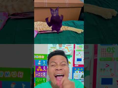 #cat #ytshorts #<strong>duet</strong> #funny #trend #short #memes #edit #asthetic #humor #relatable #acting