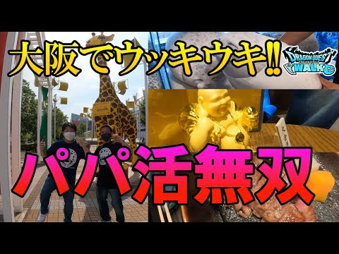 ドラクエウォーク363【ウキウキ！男優パパ活無双！！（大阪海遊館お土産クエスト）】