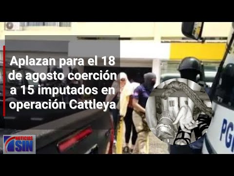 Aplazan para el 18 de agosto medidas de coerción a 15 imputados en operación Cattleya