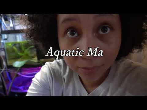 Water Change, Breeding for Profit, 2020, EVERYTHIN Hello and welcome to my Channel or welcome back!

November of this year will make almost 5 years of 