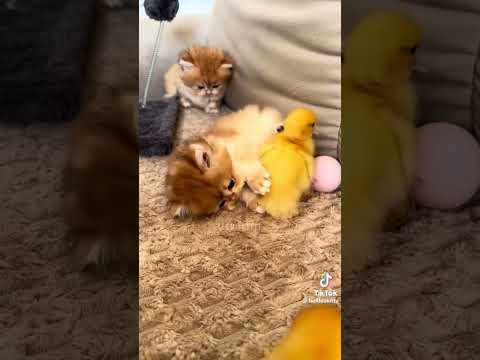 ❤️❤️❤️❤️