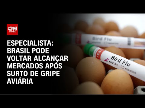 ​Brasil pode voltar alcançar mercados após surto de gripe aviária, diz especialista  | LIVE CNN