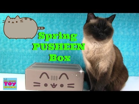 Spring Pusheen Box Unboxing Exclusive Products | PSToyReviews - UCZdJCx_zEqvOI7RFG-mWmuw