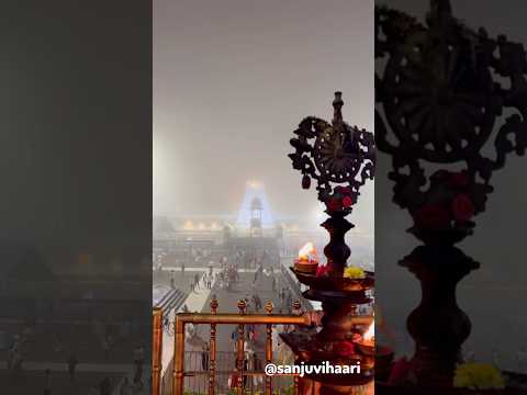 Tirumala Lo masala borugulu  #trending#tirumala#tirupati#youtubeshorts#viral#video#ytshorts#shorts