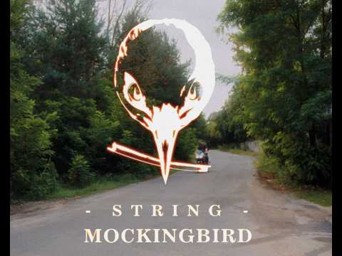 Deutschland - String_Mockingbird Cover Rammstein