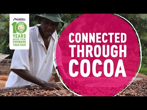 10 Years of Cocoa Life: Connected Through Cocoa