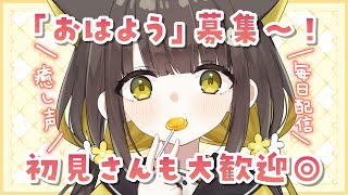 10/8(水)【 🌞雑談 】2年ぶりの寝坊/Vに認知される方法/ベッドの配色難しい｜中毒性の高い配信らしい🌼よかったらのぞいていって【 Vt