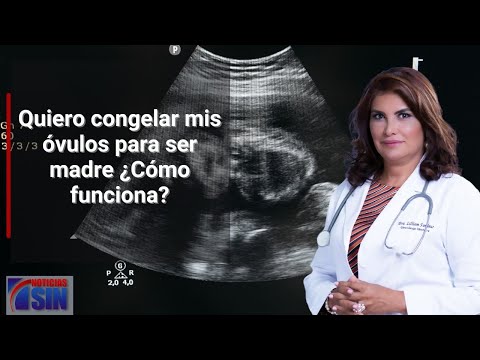 Quiero congelar mis óvulos para ser madre ¿Cómo funciona?