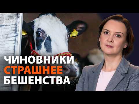 В Сибири изымают и жгут домашний скот. Владельцы протестуют