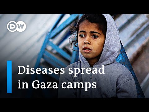 Gaza update: Israeli activists block 'vital' aid deliveries into Gaza | DW News