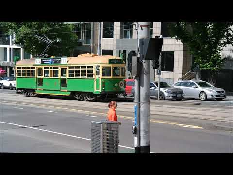 Trams on Collins Street