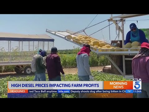 Record <strong>diesel</strong> prices put squeeze on U.S. farmers
