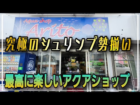 神奈川のシュリンプ専門店、究極のシュリンプ勢揃い！Aritoさんがリニューアルオープン!!　アクアリウム　aquarium 　熱帯魚