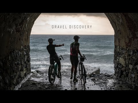 The new Arcadex - Gravel Discovery