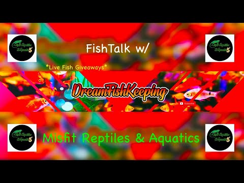 FishTalk w/ Misfit Reptiles & Aquatics On this weeks episode we're hanging out and talking fish! At the end of the show we will be giving a