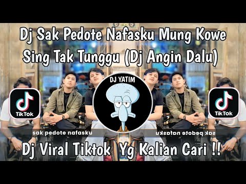 DJ SAK PEDOTE NAFASKU MUNG KOWE SING TAK TUNGGU | DJ ANGIN DALU VIRAL TIKTOK 2025 YANG KALIAN CARI!