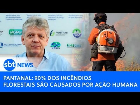 Pantanal: 90% dos incêndios florestais são causados por ação humana