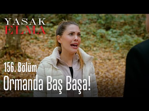 Sabahın köründe ormanda baş başa! - Yasak Elma 156. Bölüm