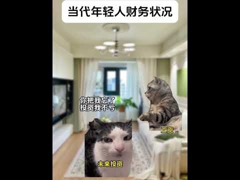 若者の財務事情と猫ミームを面白く紹介します サムネイル