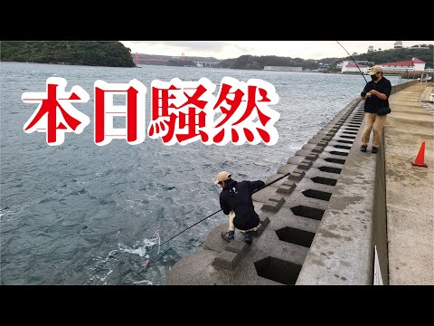 本日【緊急】日曜日の朝の海が異常すぎる!!!