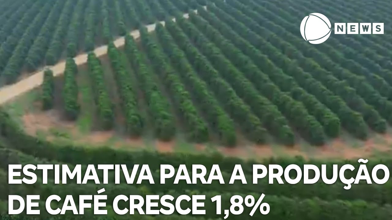 Estimativa para a produção de café cresce 18 em 2025