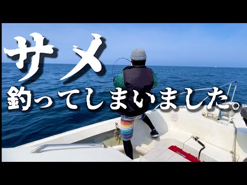 小型船で沖に出たらサメが釣れてしまった