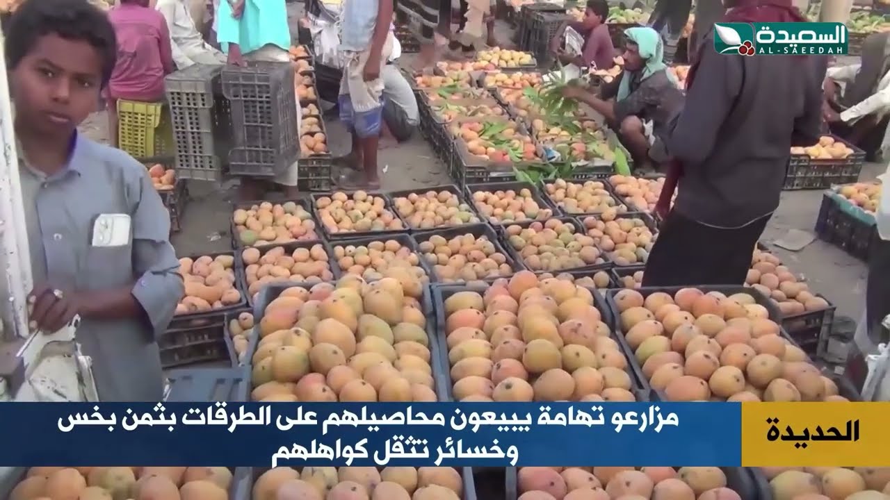قناة السعيدة