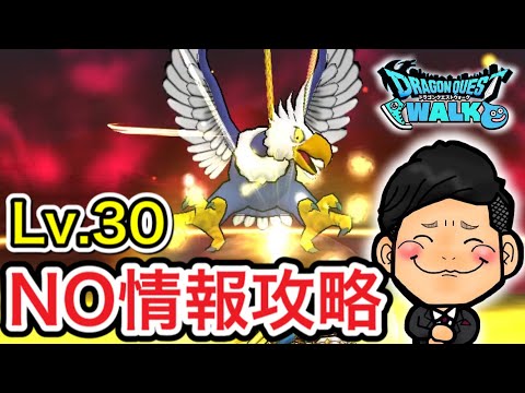 【DQウォーク】Lv.30ヘルコンドルやっと倒せた！泥仕合！【攻略情報なし縛り】