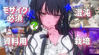 【部屋探訪】リスナーのオタク部屋めぐり【ルームツアー】