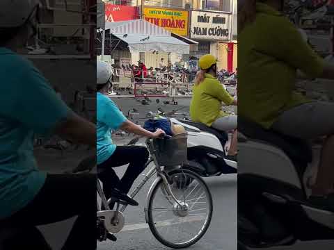 Buổi sáng thanh bình ở chợ Thủ Dầu Một #thudaumot #birds #cute #pigeon #dove #peace #shorts